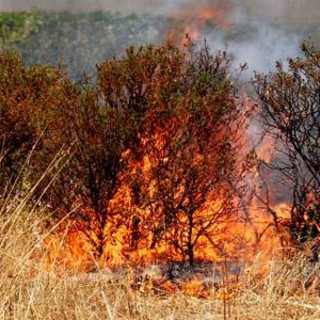 Fuoco nell'entroterra imperiese