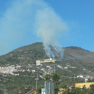 Fiamme sulle colline alle spalle di Alassio, Vigili del fuoco mobilitati a Moglio