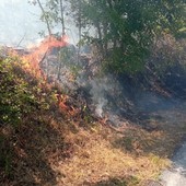Incendio sulla Sp11 a Plodio: intervento della protezione civile e dei vigili del fuoco (FOTO)