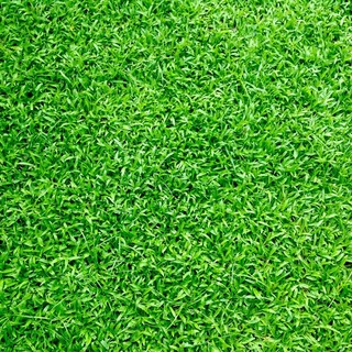 La verde rivoluzione: vantaggi e guida all'installazione dell'erba sintetica