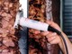 Finale Ligure: Polizia Locale e Asl fanno chiudere un locale kebab