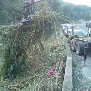 Lavori in corso nel torrente Scarincio nel comune di Giustenice