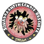 Creazione del logo della squadra Aib di Stella: scelta l'idea di 4 alunni della 3D