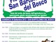 Fiera di San Bartolomeo del Bosco