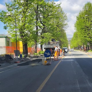 Savona, guasto rete fognatura in corso Ricci, assessore Santi: &quot;A breve la circolazione riprenderà regolarmente&quot;