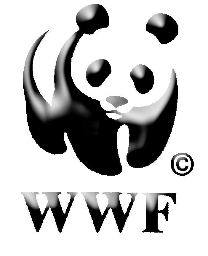 Maltempo, WWF Liguria: “Stop a nuove cementificazioni in corso e revisione dei piani di bacino”