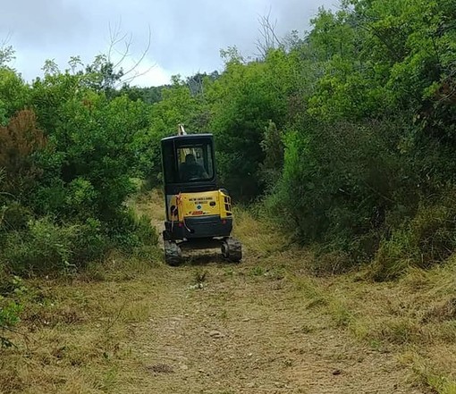 Vado, approvato il progetto di sistemazione delle strade boschive: stanziati 80mila euro