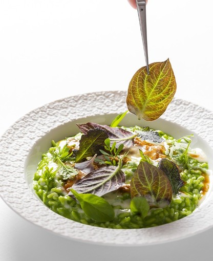 Il Ristorante Nove di Villa della Pergola presenta il nuovo menu vegetariano “Naturalia” in occasione della fioritura degli Agapanti dei Giardini.