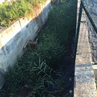 Albenga, liquami fognari sversati in frazione San Fedele: la segnalazione di un cittadino (FOTO)