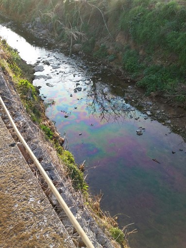 Altri sversamenti nel Rio Carenda ad Albenga