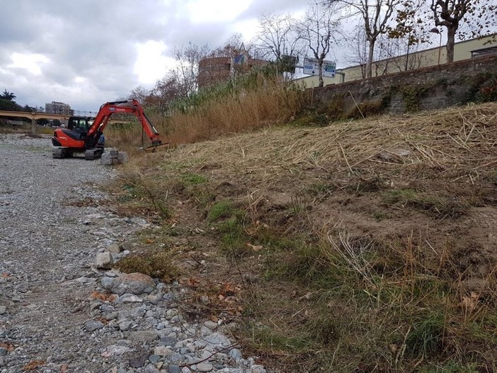 Savona, pulizia del Letimbro. Santi: &quot;Massima attenzione alla fauna presente&quot;