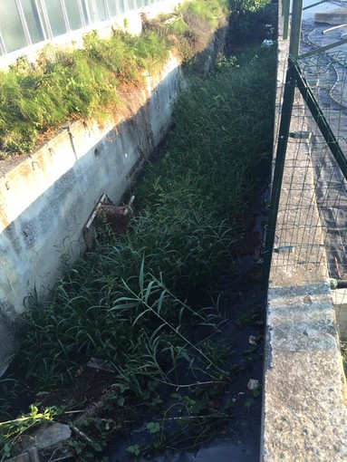 Albenga, liquami fognari sversati in frazione San Fedele: la segnalazione di un cittadino (FOTO)