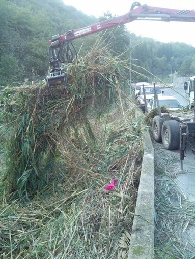 Lavori in corso nel torrente Scarincio nel comune di Giustenice