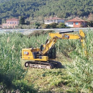 Andora, è iniziata la pulizia del torrente Merula e dei rii: investimento di quasi 70mila euro