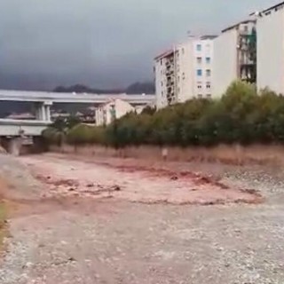 Savona, il Letimbro si riempe d’acqua dopo mesi di siccità (VIDEO)