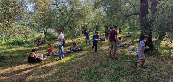 Andora, torna la &quot;merenda nell'oliveto&quot;, la passeggiata con degustazione di olio evo