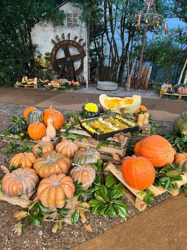 Un’antica tradizione si rinnova: torna la Mostra della Zucca di Murta