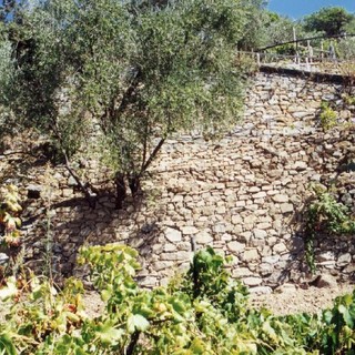 L'Unesco premia i &quot;muretti a secco&quot;, Piana: &quot;Indispensabili per agricoltura e abitazioni&quot;