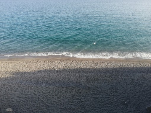 Ceriale, volontari di &quot;Plastic Free&quot; ripuliscono le spiagge, raccolti 125 kg di rifiuti