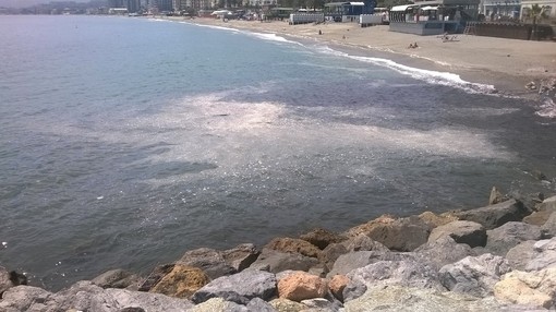 Schiuma biancastra in mare a Savona. Paura inquinamento, ma sono le lumache di mare