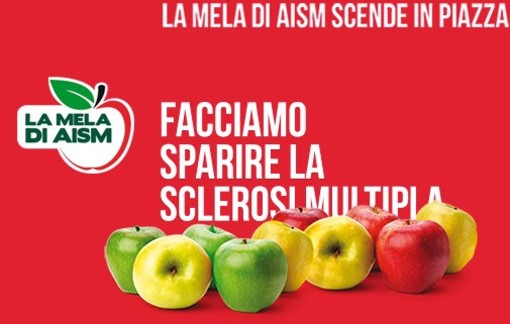 A Loano tornano le &quot;Mele di Aism&quot; per aiutare la ricerca contro la sclerosi multipla