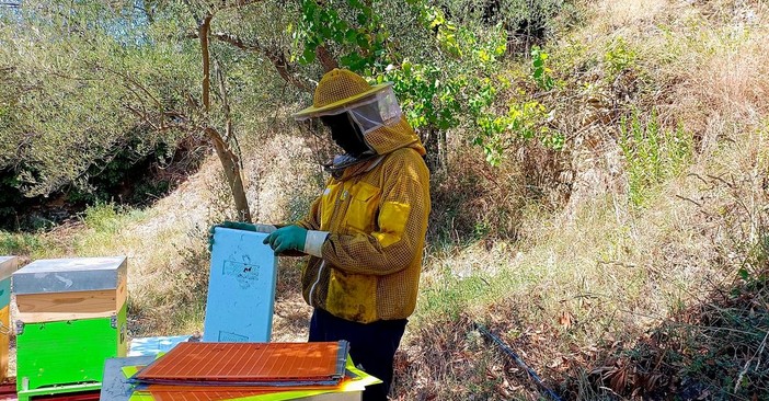 Savona entrerà a far parte del circuito dei “Comuni amici delle api”
