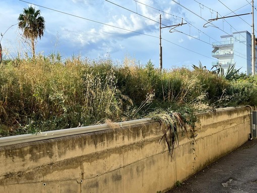 Manutenzione delle scarpate, Borghetto S. Spirito contro RFI: &quot;Gestione vergognosa&quot; (FOTO)