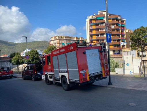 Pietra Ligure, morìa di animali nel torrente Maremola: una ventina gli esemplari senza vita (FOTO)