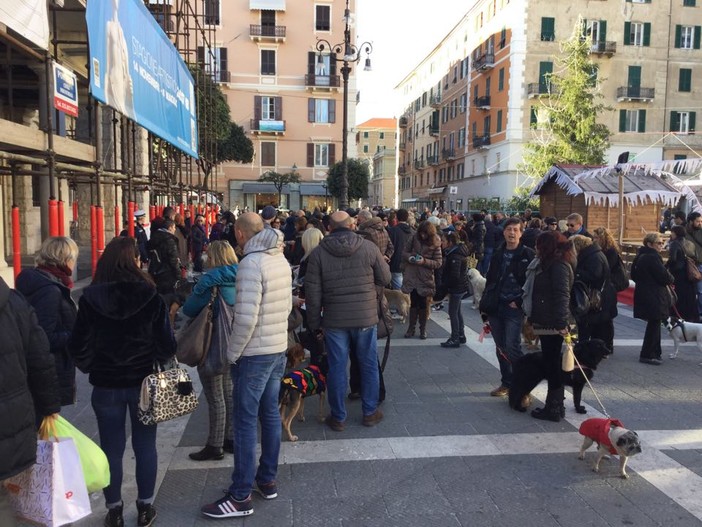 Savona, Piazza Sisto invasa dai cani contro l’ordinanza &quot;anti escrementi&quot;