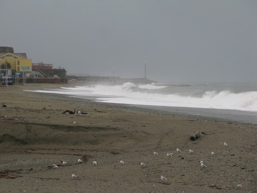 Mareggiata a Savona (le foto)