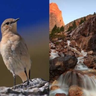 Osiglia: al via una mostra fotografica naturalistica