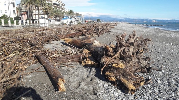 Associazione Italiana Sicurezza Ambientale: &quot;Bruciare legna accumulata sui litorali dalla mareggiata è pericoloso per la salute dei cittadini&quot;