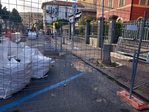 Albenga, taglio delle magnolie in via Trieste, Distilo all'attacco: &quot;Che bisogno c'era?&quot;