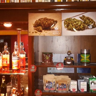 Albenga, al bar Perbacco arriva la marijuana light