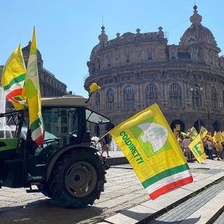 &quot;I cinghiali distruggono le nostre coltivazioni, serve un piano straordinario”, il picchetto di Coldiretti Liguria in piazza De Ferrari