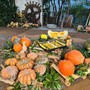 Un’antica tradizione si rinnova: torna la Mostra della Zucca di Murta