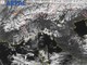 Meteo, torna la neve nel savonese: domani (19 marzo) possibili spolverate nell'entroterra