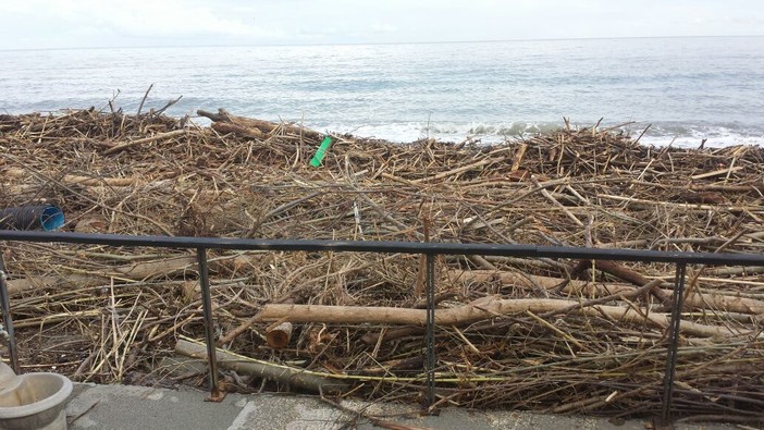 Maltempo e mareggiate, le spiagge del ponente ligure sono invase dai detriti