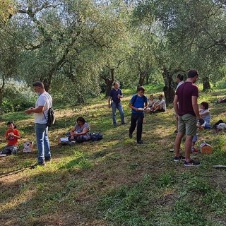 Andora, torna la &quot;merenda nell'oliveto&quot;, la passeggiata con degustazione di olio evo