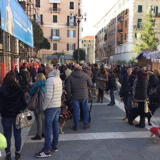 Savona, Piazza Sisto invasa dai cani contro l’ordinanza &quot;anti escrementi&quot;