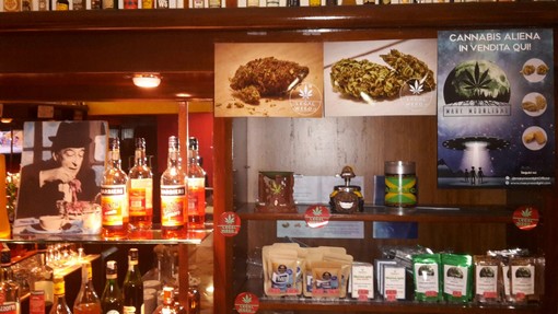 Albenga, al bar Perbacco arriva la marijuana light