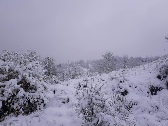 Allerta neve, dall'Arpal: &quot;Precipitazioni confinate a parte dell’entroterra savonese&quot;