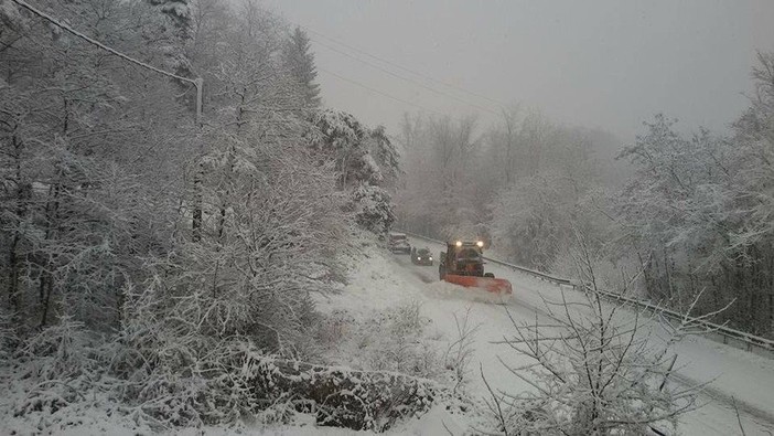 Maltempo, in arrivo l'allerta meteo per neve (VIDEO)