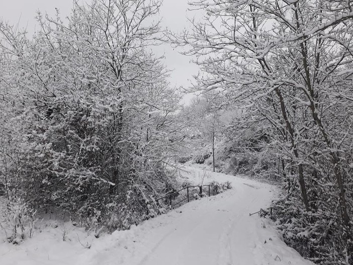 La neve copre la Val Bormida, senza creare particolari disagi (FOTO e VIDEO)