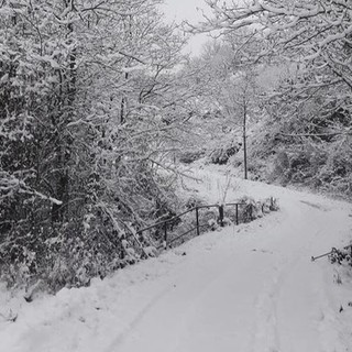 Meteo, neve oggi e probabilmente anche all'Immacolata