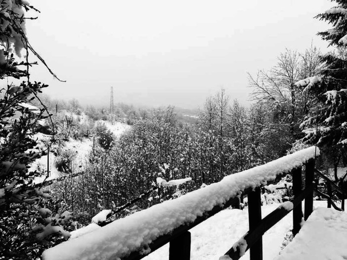 Arriva la neve nel savonese: emanata l'allerta gialla in Val Bormida e Valle Erro