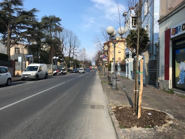 Albenga, piantati 10 tigli in via Leonardo da Vinci