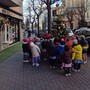 Albenga, i bambini decorano l'albero di Natale di Vadino