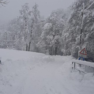 Giusvalla, sindaco Perrone: “50-60 cm di neve. La situazione sta diventando critica”