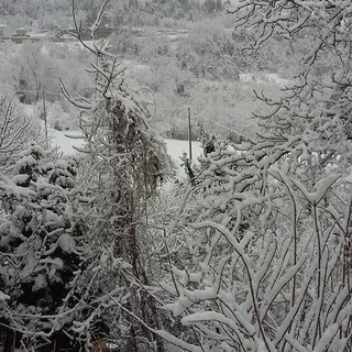 Neve in Val Bormida. Allerta fino alle 15. FOTO E VIDEO